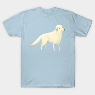 Golden Retreiver Portrait T-Shirt